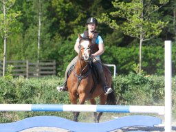 IMG_0684_web